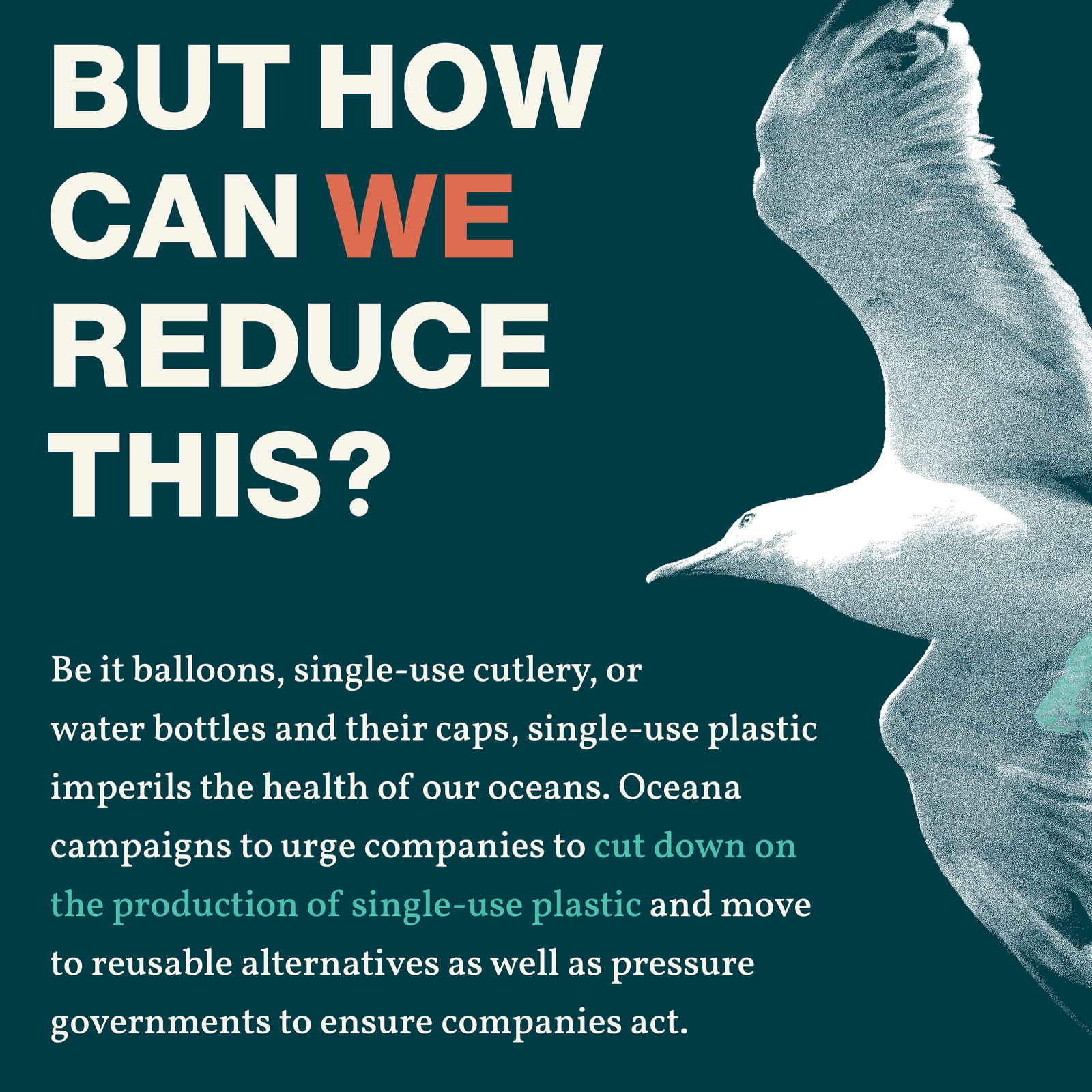 The folded up zine facing the front cover that says Zine of resisting deforestation