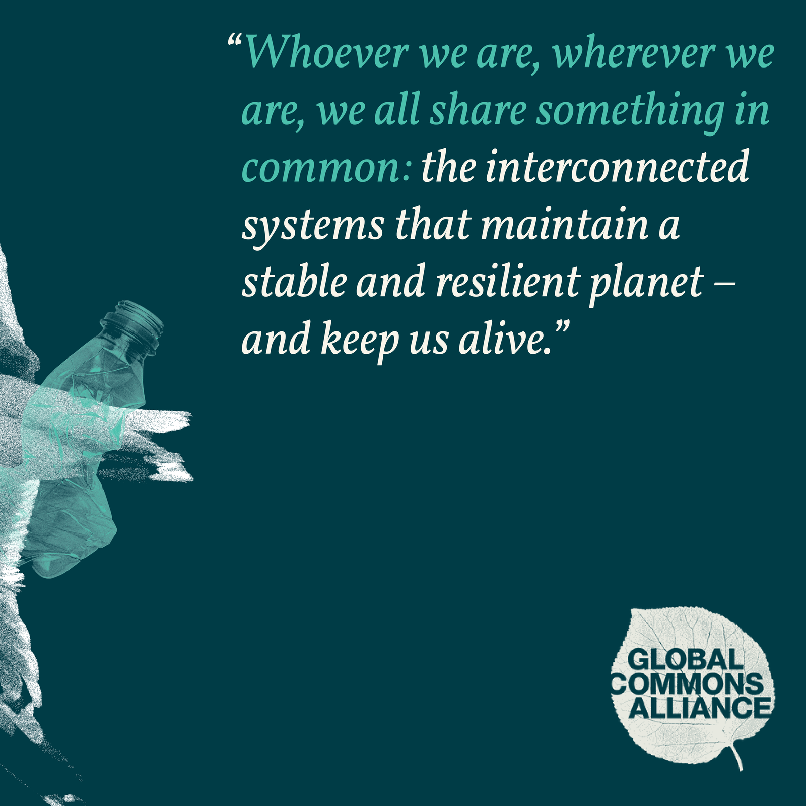 An open zine describing deforestations with dark colors