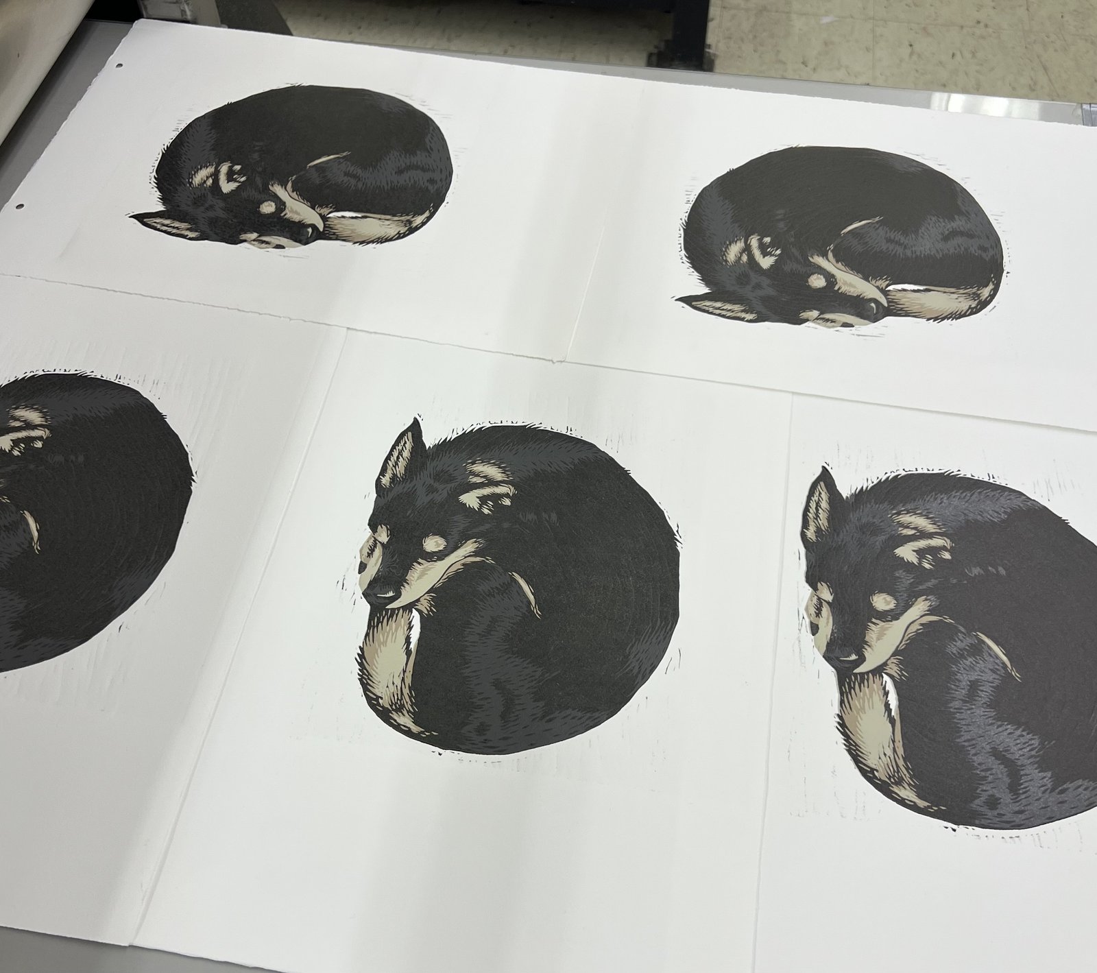 A vinyl and its sleeve laying upright against a bright background